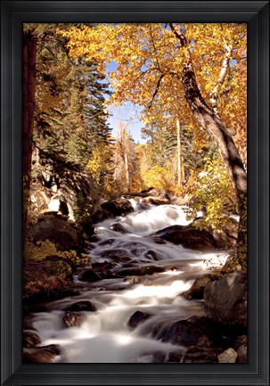 Framed River and Trees Print