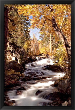 Framed River and Trees Print