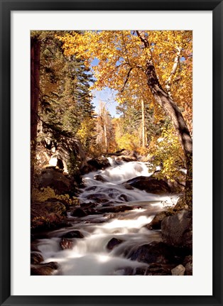 Framed River and Trees Print