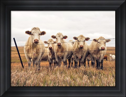 Framed We&#39;re Watching Print
