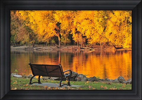 Framed Fall Glow Print