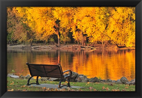 Framed Fall Glow Print