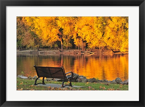 Framed Fall Glow Print