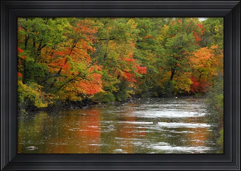 Framed Hint of Fall Print