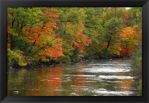 Framed Hint of Fall Print