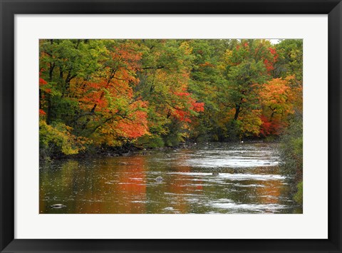 Framed Hint of Fall Print