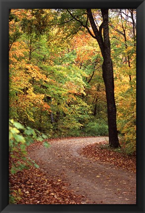 Framed Fall Road Print