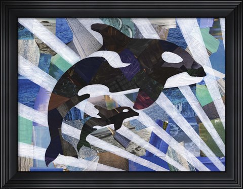 Framed Killer Cute Whales Print