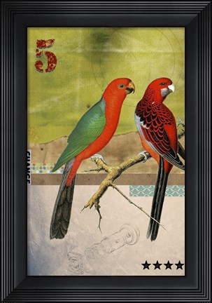 Framed Birds Print