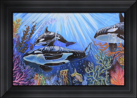 Framed Killer Whales Print