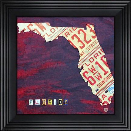 Framed Florida License Plate Print