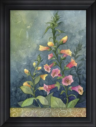 Framed Foxgloves Print
