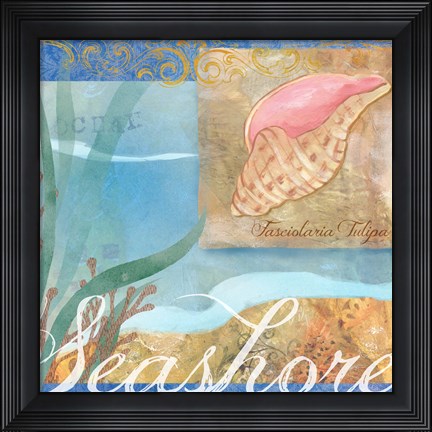 Framed Seashells I Print
