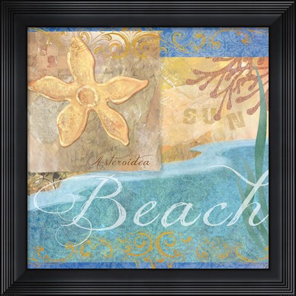 Framed Seashells II Print