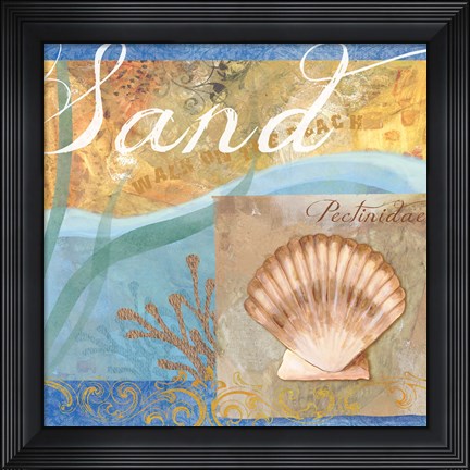 Framed Seashells III Print