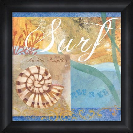 Framed Seashells IV Print