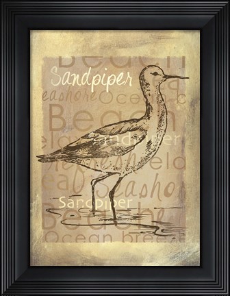 Framed Shore Life II Print
