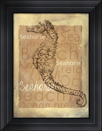 Framed Shore Life IV Print