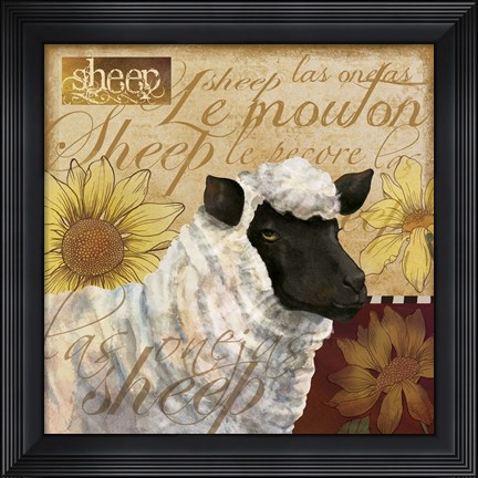 Framed Sheep Print