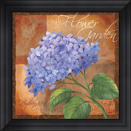 Framed Hydrangea Print