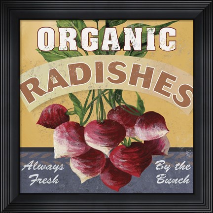 Framed Radishes Print