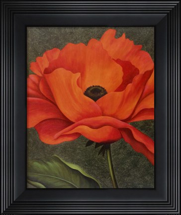 Framed Red Poppy Print