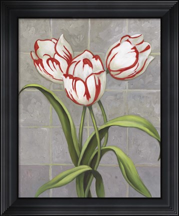 Framed Red-Striped Tulips Print