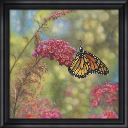 Framed Monarch Butterfly Print