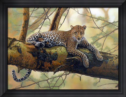 Framed African Leopard Print