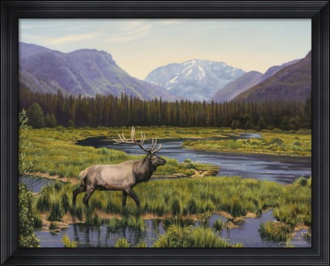 Framed Meadows Of Grand Lake, Colorado Print