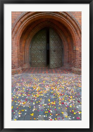 Framed Flower petals, St Anne&#39;s Church, Vilnius, Lithuania Print