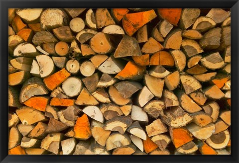 Framed Stacked Firewood, Lithuania Print