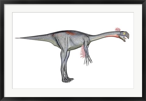 Framed Gigantoraptor dinosaur, white background Print