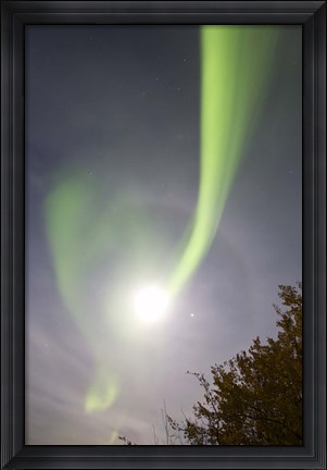 Framed Aurora Borealis and Venus by Lake Laberge, Yukon, Canada Print
