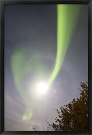 Framed Aurora Borealis and Venus by Lake Laberge, Yukon, Canada Print