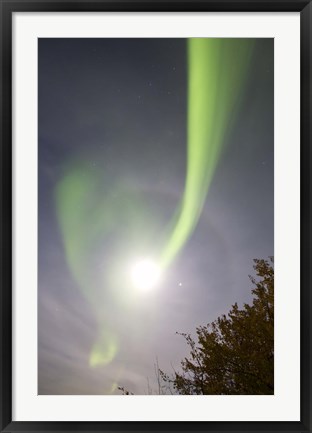 Framed Aurora Borealis and Venus by Lake Laberge, Yukon, Canada Print