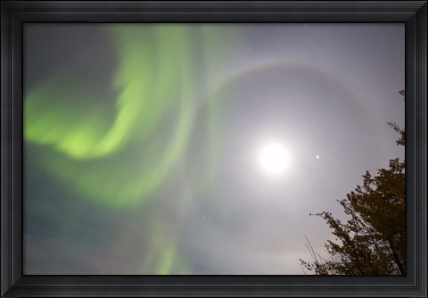 Framed Aurora borealis, Full Moon, Halo and Venus by Lake Laberge, Yukon, Canada Print