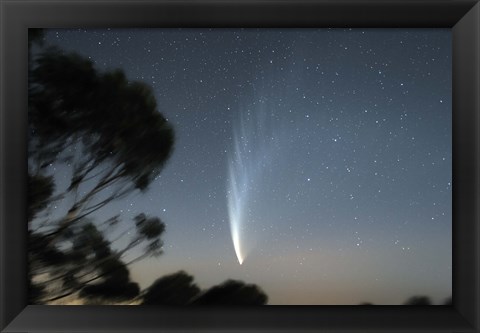 Framed Comet McNaught P1 Print