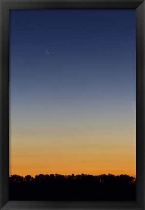 Framed Comet Panstarrs at twilight,  Buenos Aires, Argentina Print