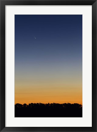 Framed Comet Panstarrs at twilight,  Buenos Aires, Argentina Print