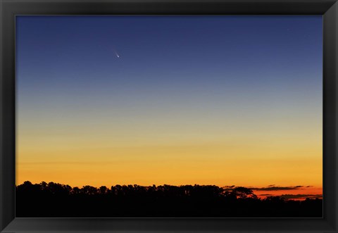 Framed Comet Panstarrs I Print