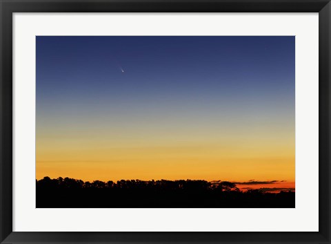 Framed Comet Panstarrs I Print