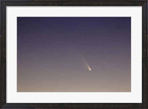 Framed Comet Panstarrs II Print