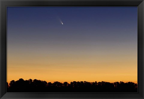 Framed Comet Panstarrs III Print