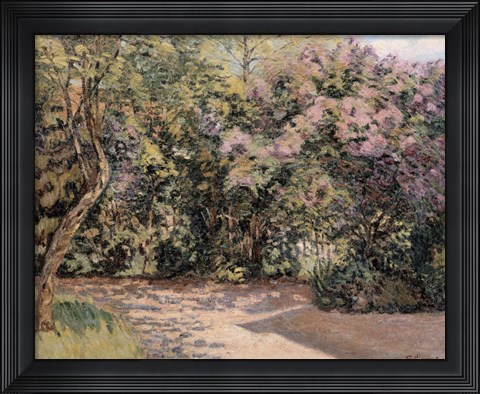 Framed Lilac Trees Print