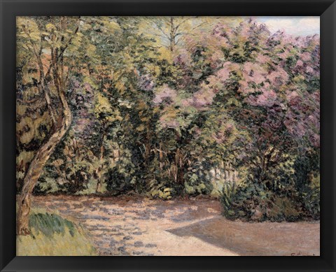 Framed Lilac Trees Print