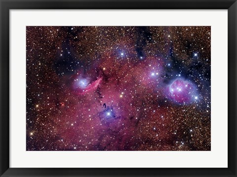 Framed NGC 6559 is a rich colorful tapestry of diverse nebulosity in the Constellation Sagittarius Print