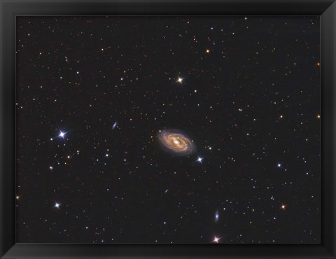 Framed Messier 109, a barred spiral galaxy in the Constellation Ursa Major Print