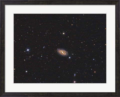 Framed Messier 109, a barred spiral galaxy in the Constellation Ursa Major Print