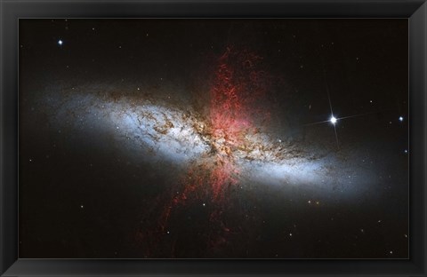 Framed Messier 82, a starburst galaxy in the Constellation Ursa Major Print